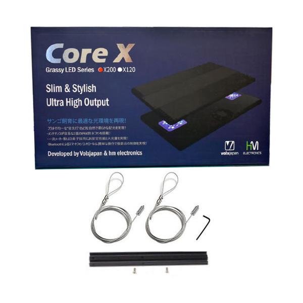 ボルクス Grassy CoreX 200 / グラッシー・コアX200 リーフ ワイヤー