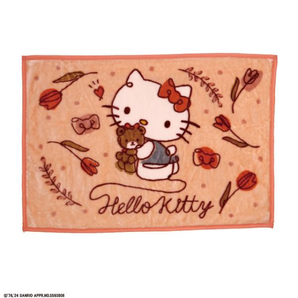 sanrioサンリオの人気キャラクターハローキティーHello Kittyキティーデザインのひざ掛け寒い日は勿論夏場のエアコンによる冷え対策にもご家庭や職場で■サイズ：約70×100cm■素材：ポルエステル100%日本国内限定販売ライセンス...