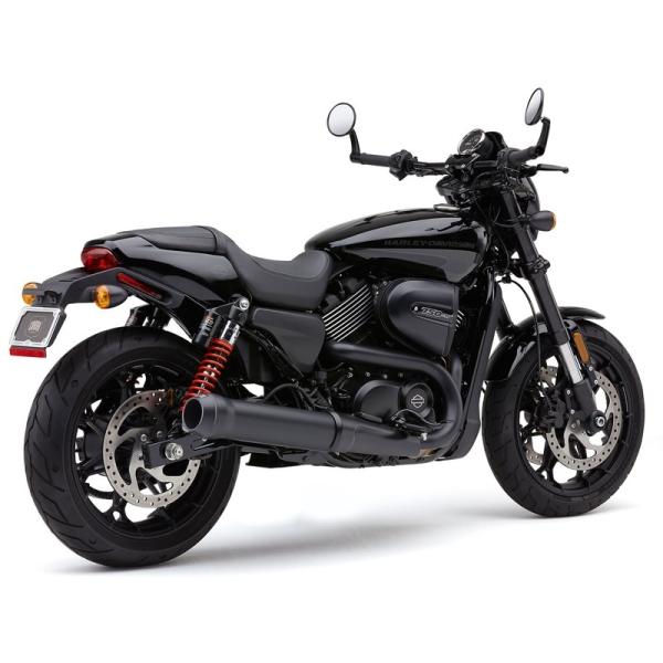 Harley Davidson（ハーレー・ダビッドソン） 4.5インチ EL DIABLO