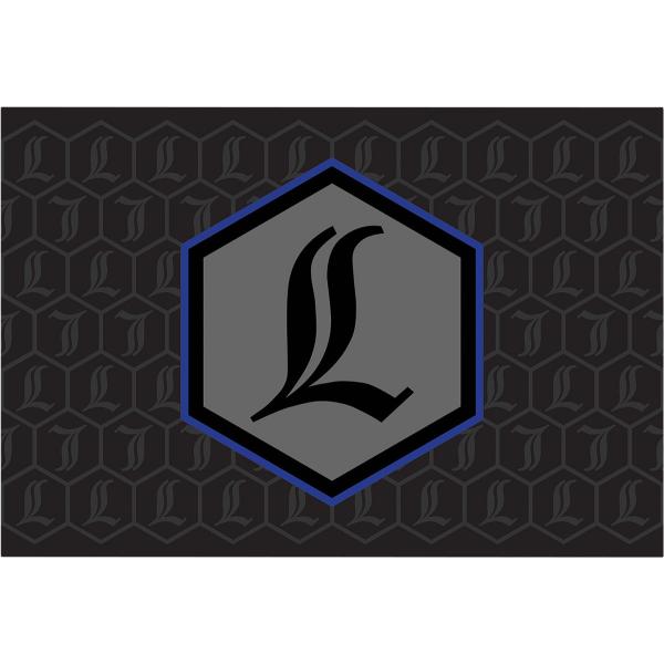 REVO-ARC ���U�[�o�[�f�J�[�� �p�[�v��