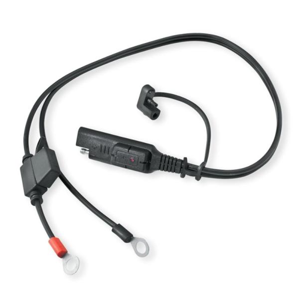 obe[`[WOn[lX LEDCWP[^[t