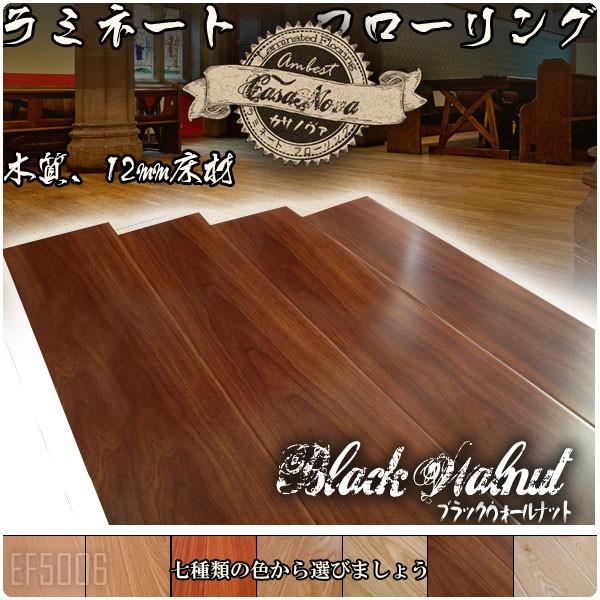 Casanova_[NuE~l[g2.3 Ambest EF5006yz