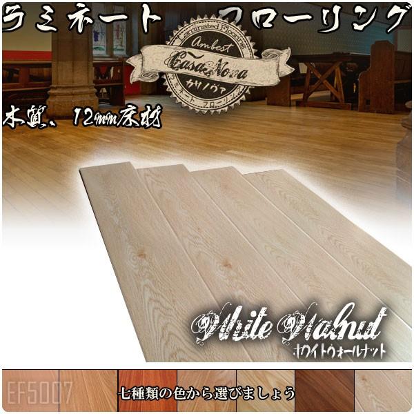 CasanovaEHibg~l[g2.3 Ambest EF5007yz