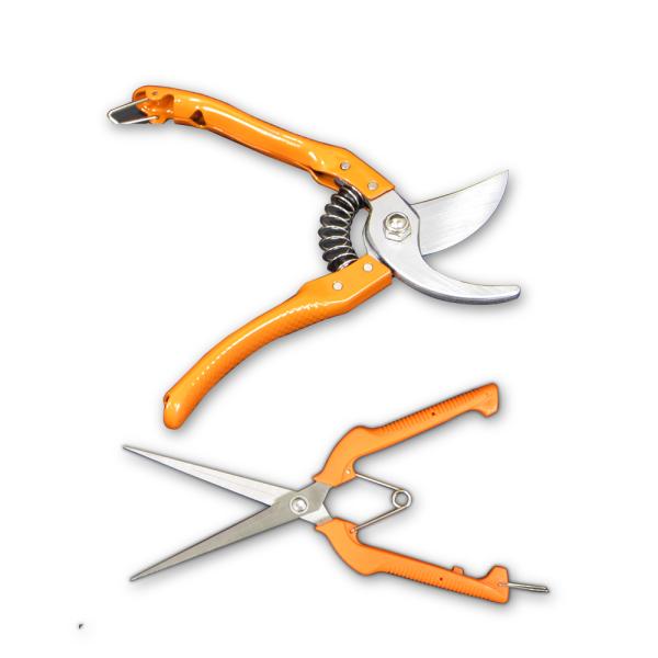 20cm}21cmEZbgK[fjO|A؉ʎ Ambest WG1020yzyz