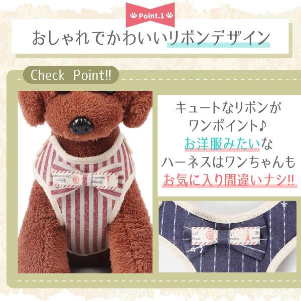 ambitious623_dog-22oc07_1_d_20221013062237