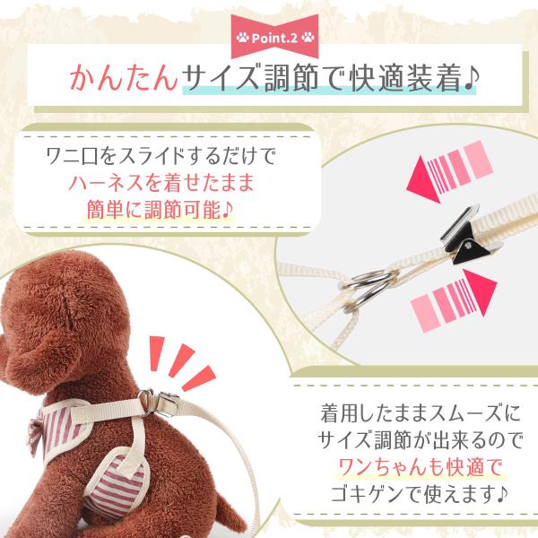 ambitious623_dog-22oc07_3_d_20221013062250