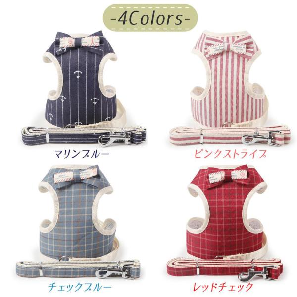 ambitious623_dog-22oc07_4_d_20221007064822