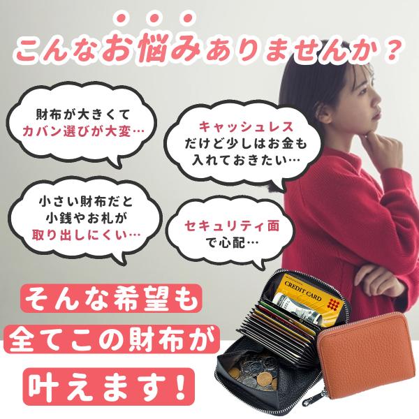 ambitious623_wallet2-23ma13_1_d_20230315211007