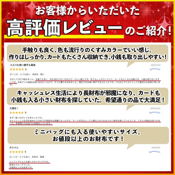 ambitious623_wallet2-23ma13_2_d_20231211222024