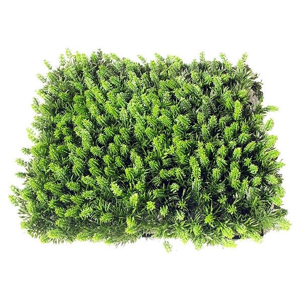 lHŁ@XMRP}bgi2j( lH RUVHi XMSP )