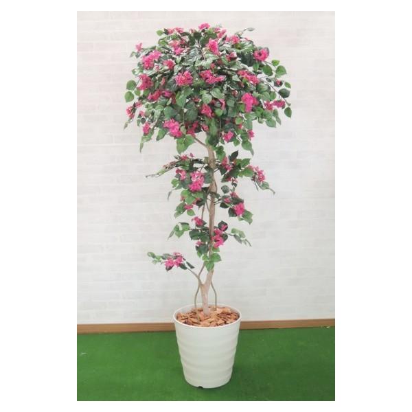 u[QrA 180cm ( CeA ϗtA lH  ^ O[ vg  fBXvC A 1.8m)