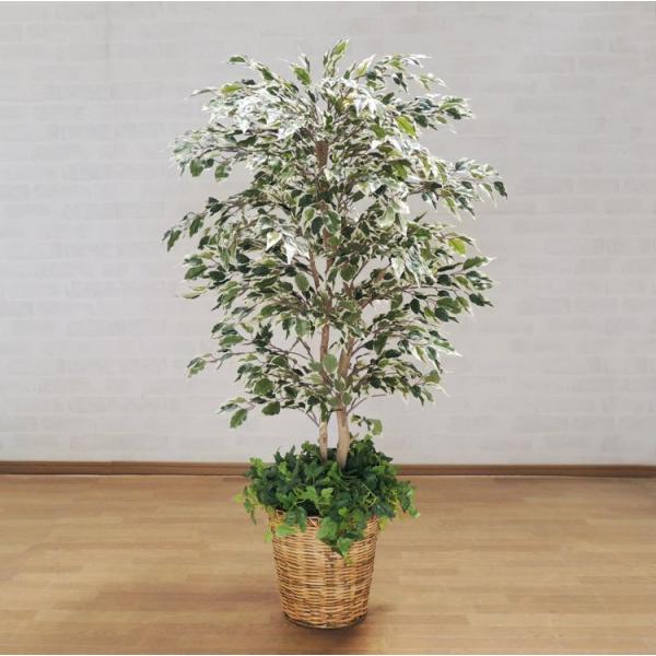 ベンジャミナスターライトリアナ W100×H200cm 98526 アーティフィシャルグリーン 人工観葉植物 鉢付きグリーン