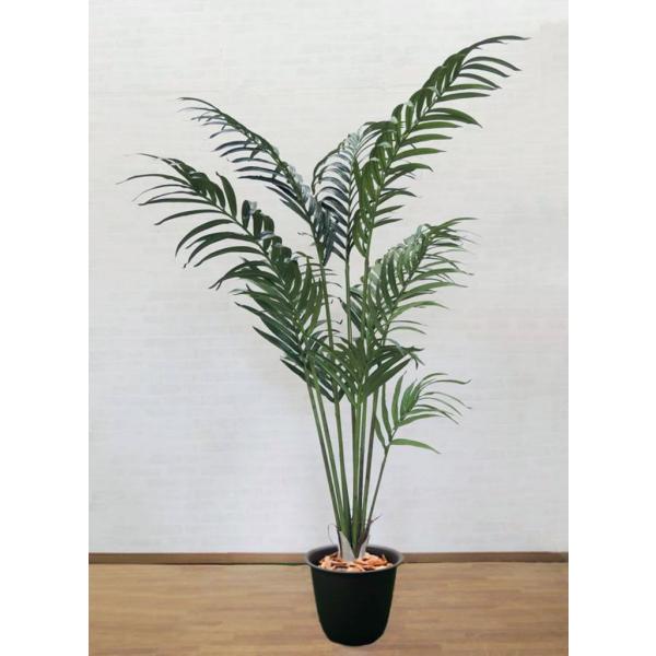 ケンチャヤシ 全長240cm 造花 インテリア お洒落 室内 人工 観葉植物 大型 パーム系 南国 リゾート 装飾 飾り グリーン プラント 2 4m Buyee 日本代购平台 产品购物网站大全 Buyee一站式代购 Bot Online