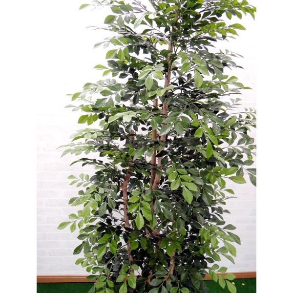シマトネリコ 180cm 人工観葉植物 インテリア 造花 フェイクグリーン 1 8m おしゃれ 室内 大型 樹木 飾り イベント Buyee Buyee Japanese Proxy Service Buy From Japan Bot Online