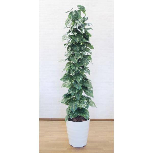 光触媒 人工観葉植物 フェイクグリーン ジャイアントポトス高さ