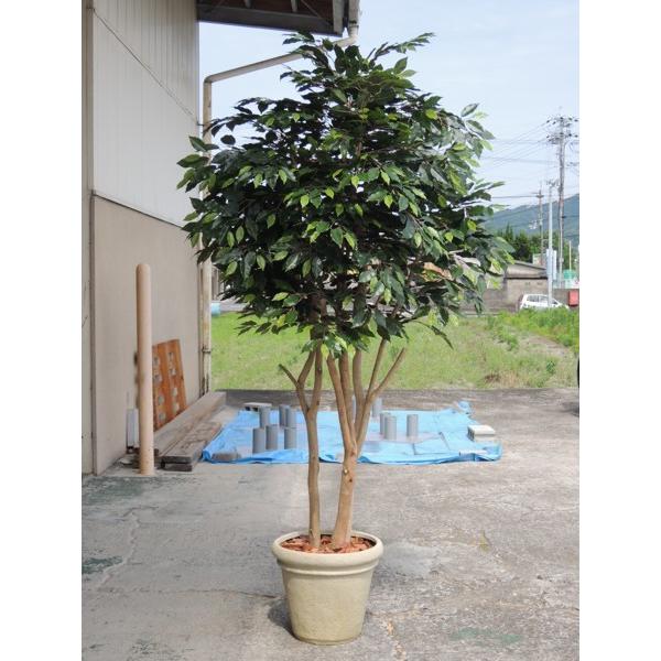 ^TCY xW~ ؁@ 220cm (lHϗtA    tFCNO[ CeA fBXvC u A )