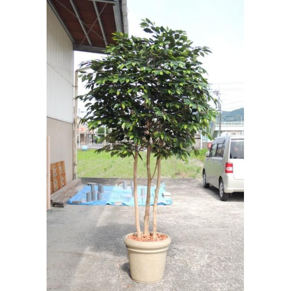 ^TCY xW~ ؁@ 250cm (lHϗtA    tFCNO[ CeA fBXvC A  A)