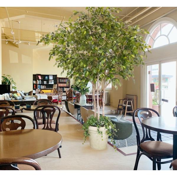 大型商品 ベンジャミン 組み立て式 250cm 造花 インテリア 人工観葉植物 フェイク グリーン 植栽 アイテム 飾り Am001g 造花観葉植物専門店ビワールデコ 通販 Yahoo ショッピング