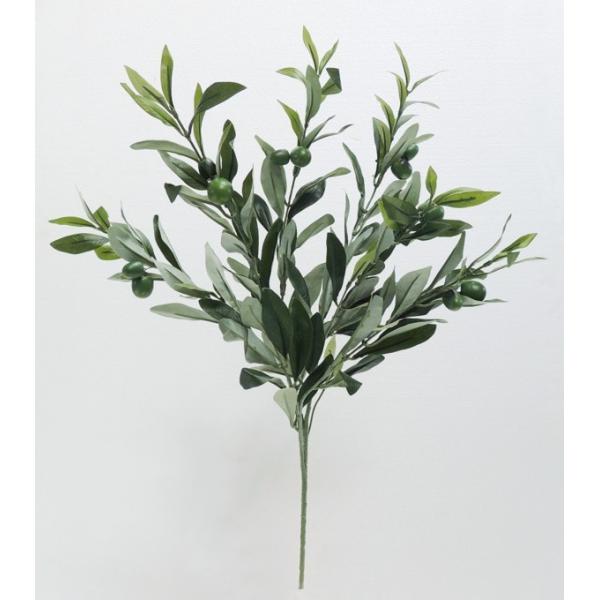 �I���[�u�X�v���[ ���t�� ���[�t 3�{ (���� �C���e���A �t  ���� �l�H�ϗt�A��)