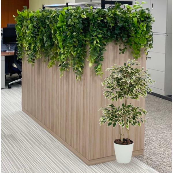 ベンジャミン 斑入り 110cm (フェイクグリーン 人工観葉植物 スター