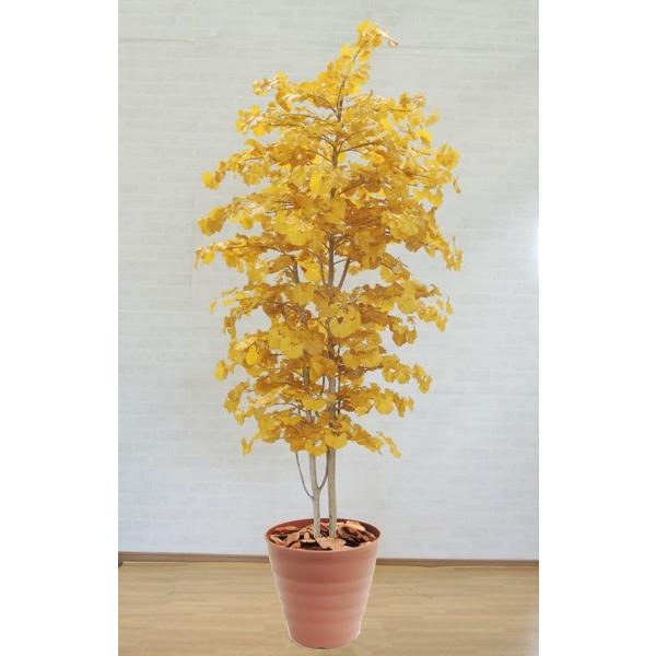 イチョウ 230cm 造花 インテリア 室内 おしゃれ 大型 グリーン プラント 作り物 銀杏 いちょう 飾り ディスプレイ Am034 52y 230 造花観葉植物専門店ビワールデコ 通販 Yahoo ショッピング