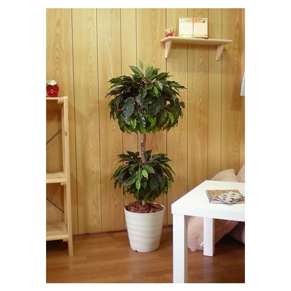 �x���W���~�� ���E���h�_�u�� 100cm (���A�� �ϗt�A�� ���� �C���e���A �O���[�� �t�F�C�N ���� ������� ���^)