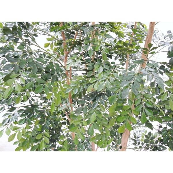 トネリコ 大型サイズ 自然な木 植栽付き 高さ230cm 大きい 造花 インテリア 人工 観葉植物 植栽 鉢付き 室内 ディスプレイ 造作 オブジェ 2 3m Am104 230 1 造花観葉植物専門店ビワールデコ 通販 Yahoo ショッピング