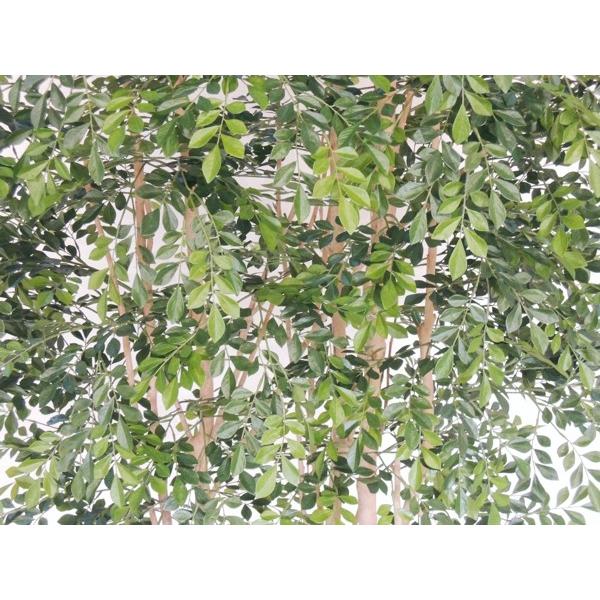 シマトネリコ 大型サイズ 幅広めの木 植栽付き 高さ300cm (大きい 造花