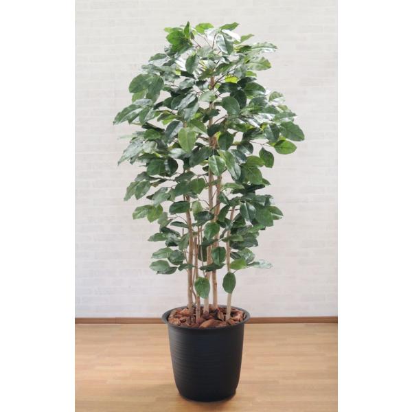  180cm (xKVX lH ϗtA CeA  {_CW 1.8m t   ^)