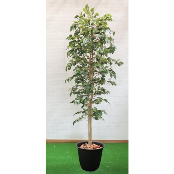 クラシックフィカス ベンジャミン 210cm 鉢植え フェイク インテリア グリーン 植栽 装飾 造花 観葉植物 室内 おしゃれ 大型 Am1 210 造花観葉植物専門店ビワールデコ 通販 Yahoo ショッピング