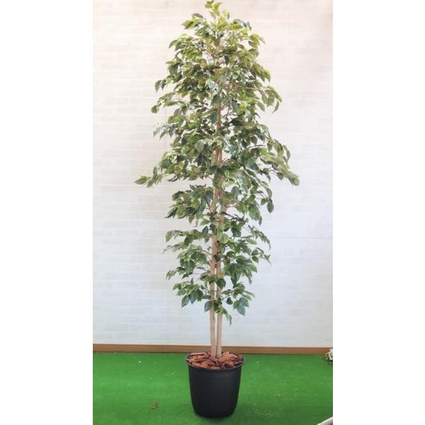 クラシックフィカスベンジャミン 230cm 鉢植え フェイク インテリア グリーン 造花 観葉植物 室内 おしゃれ 大型 2 3m Buyee Buyee Japanese Proxy Service Buy From Japan Bot Online