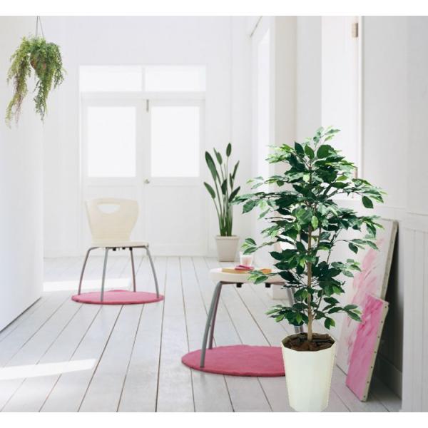 あっさりしたベンジャミン 1cm 鉢植え インテリア グリーン 造花 観葉植物 室内 おしゃれ ミニサイズ Am15 1 造花観葉植物専門店ビワールデコ 通販 Yahoo ショッピング