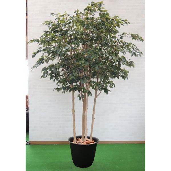 国内最安値 大型サイズ クラシックフィカス 高さ250cm 5本株立 人工観葉植物 造花 樹木 インテリア 室内 おしゃれ 全国組立設置無料 Www Simon Page Com