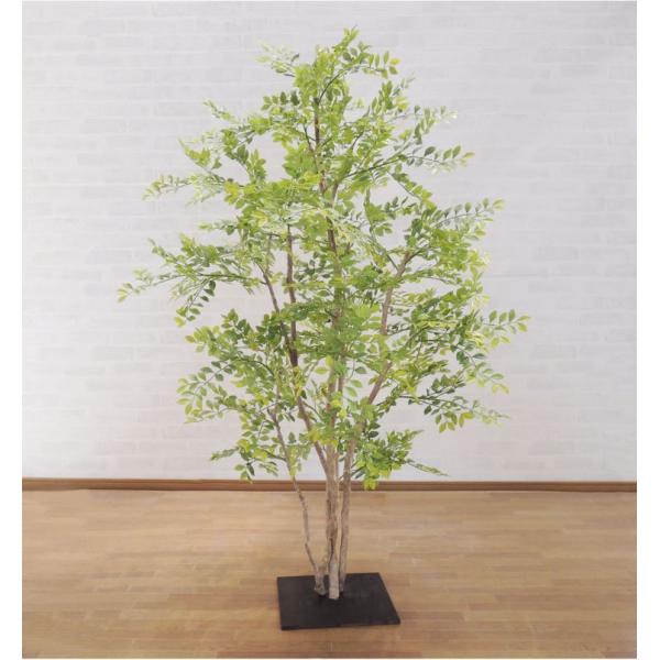 V}glR ̖ 150cm (߂̗t  CeA tFCNO[   lH ϗtA S[f[t   ItBX xXgO[)