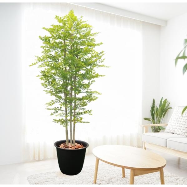 V}glR 230cm i邢t  lHA CeA S[f[t 2.3m   tFCN O[  ^j