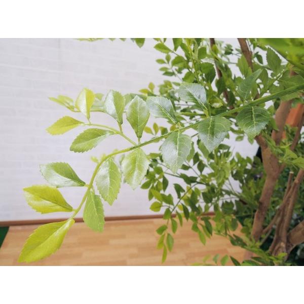 シマトネリコ 高さ230cm(大型サイズ 人工観葉植物 明るい葉 インテリア