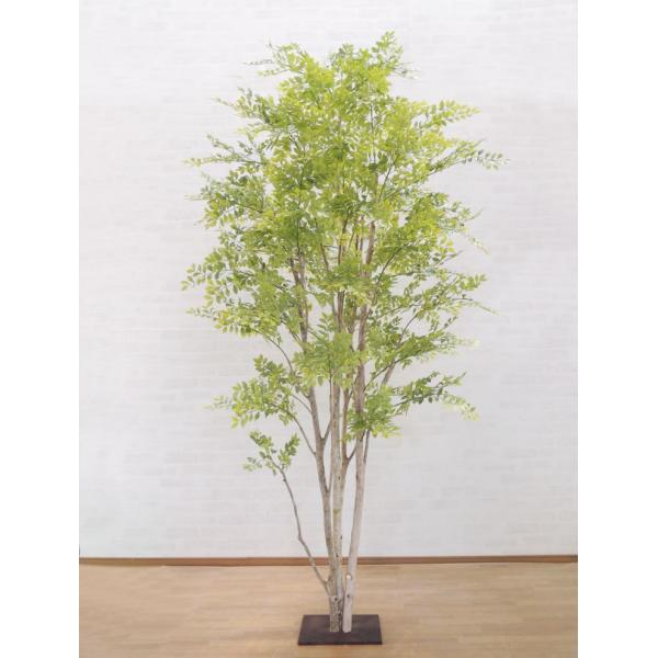 V}glR ̖ 230cm (߂̗t  CeA tFCNO[   lH ϗtA S[f[t   ItBX xXgO[)