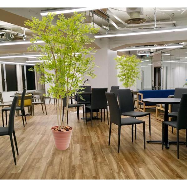 q}\PC 230cm (V}glR  CeA CG[ o^tC   lH ϗtA ^ tFCN O[ 蕨  glR)