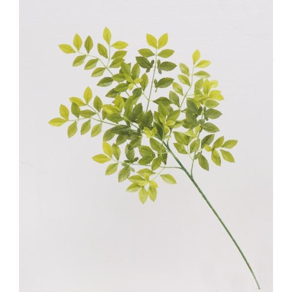 S[f[t 12{Zbg ( CeA glR[t CgO[)