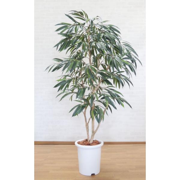 VEiSmL 180cm(VEiAXe_LO  CeA lHϗtA 1.8m  ^ )