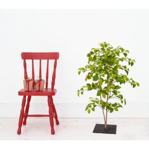 iccoL@100cm ( lHϗtA  a K[fjO  뉀 ؒ CeA   JA A)