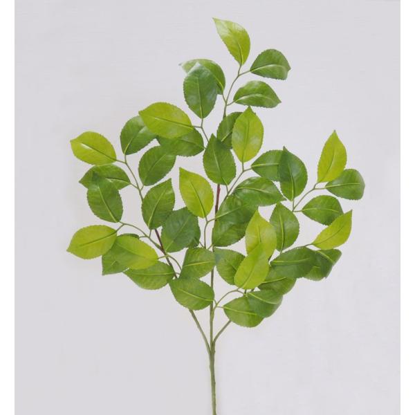 iccoL[t 3{ (  ΂  tFCNO[ CeA JA  lHϗtA)