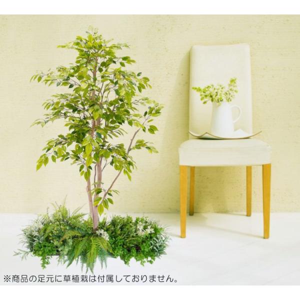 tBJX̖ 130cm R (tFCNO[ A X ~j lHϗt CeA ItBX ϗtA  X   xXgO[ 1.3m)