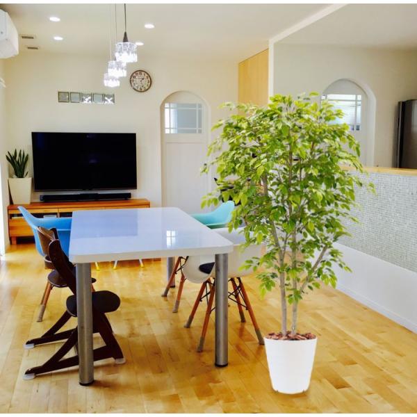 R tBJX ̖ 180cm ( xW~ i^[V CgO[ ϗtA CeA  ^  fBXvC  tFCNO[)