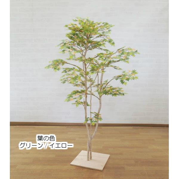 Cn~W O[ 120cm ( ϗtA ݂ gt a K[fjO  뉀 ؒ CeA  ))