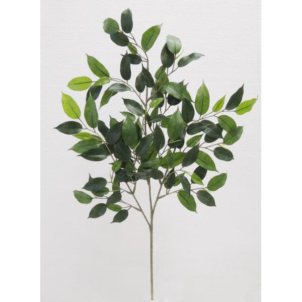 ~jtBJXi^[V [t 12{ ( CeA xW~   lHϗtA)