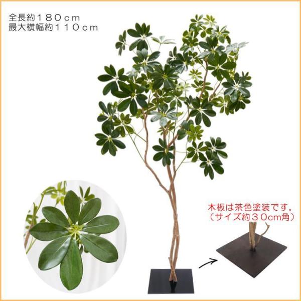 R VFt 180cm ( CeA ^   lH ϗtA tFCN O[ 蕨  fBXvC X 1.8m)