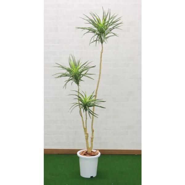 ユッカツリー 160cm フェイクグリーン インテリア お洒落 ナチュラル 造花樹木 人工観葉植物 1 6m Am23m 造花観葉植物専門店ビワールデコ 通販 Yahoo ショッピング