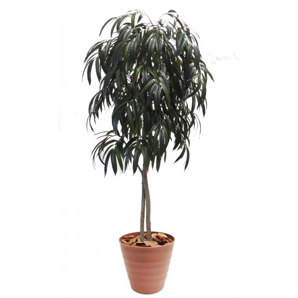 VEiS 210cm (tFCNO[  CeA O[ ϗtA   ^ 2.1m)