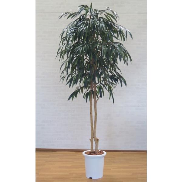 VEiS 230cm (VEiSmL ԃCeA O[ ϗtA   ^ 2.3m)